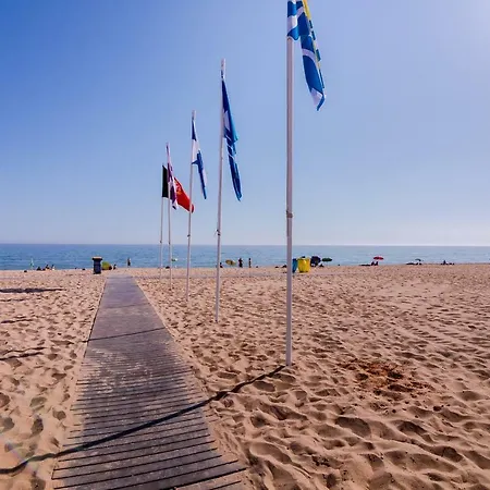Cavalo Preto Ii - Beach - 公寓